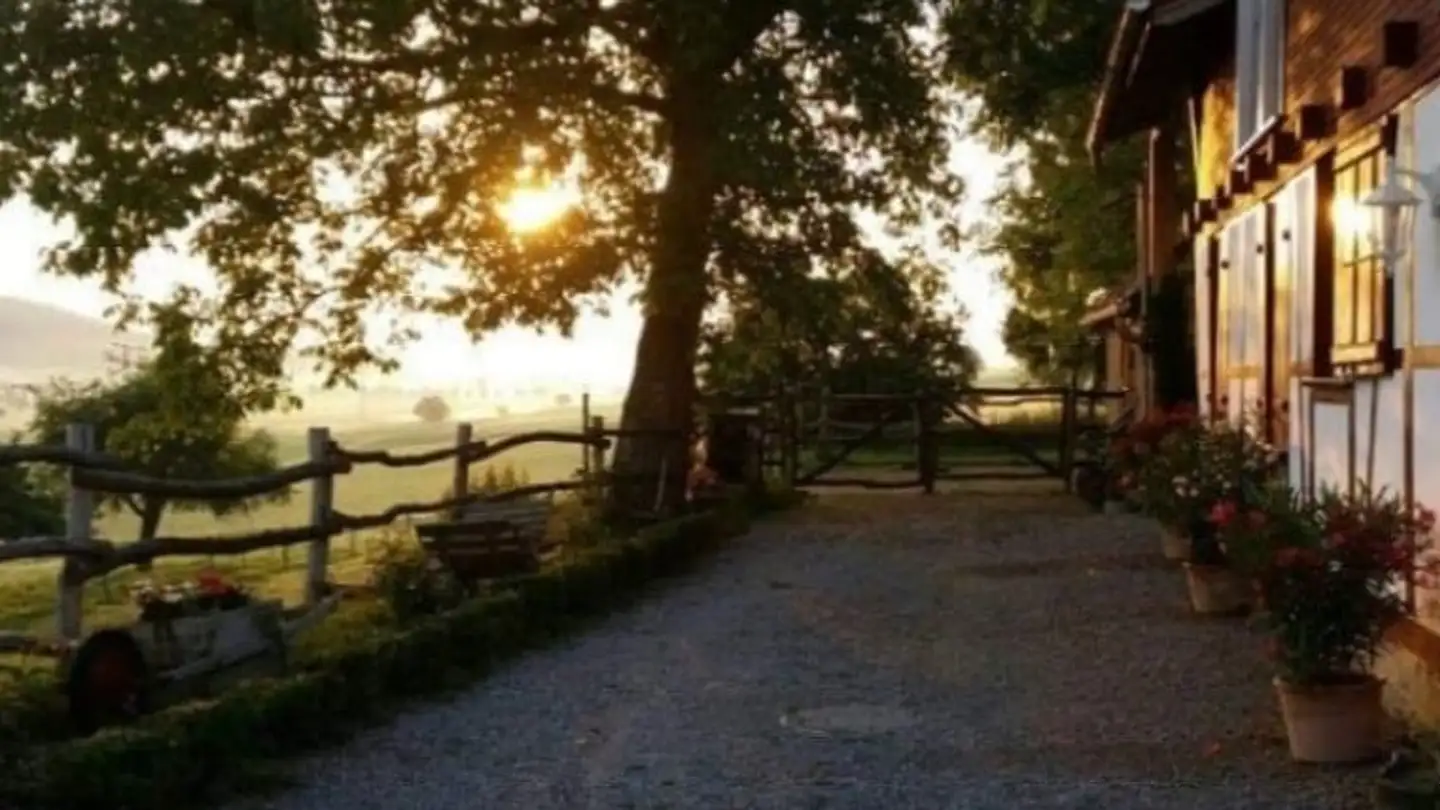 Wohnung mieten - Eichholzstrasse 40, 3254 Messen