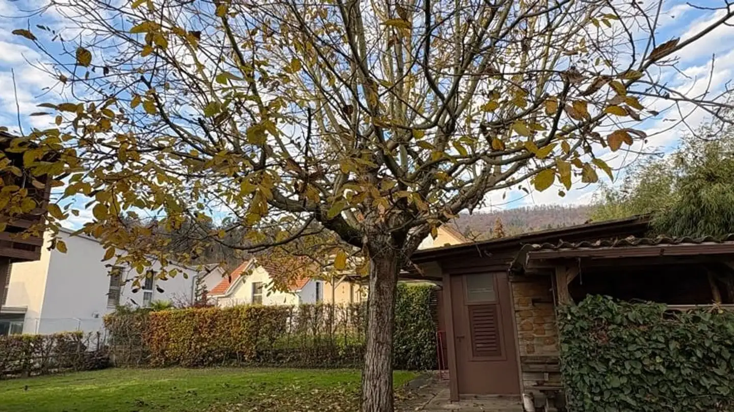 Casa singola in affitto - Züriacker 9, 5103 Möriken AG - Photo 3