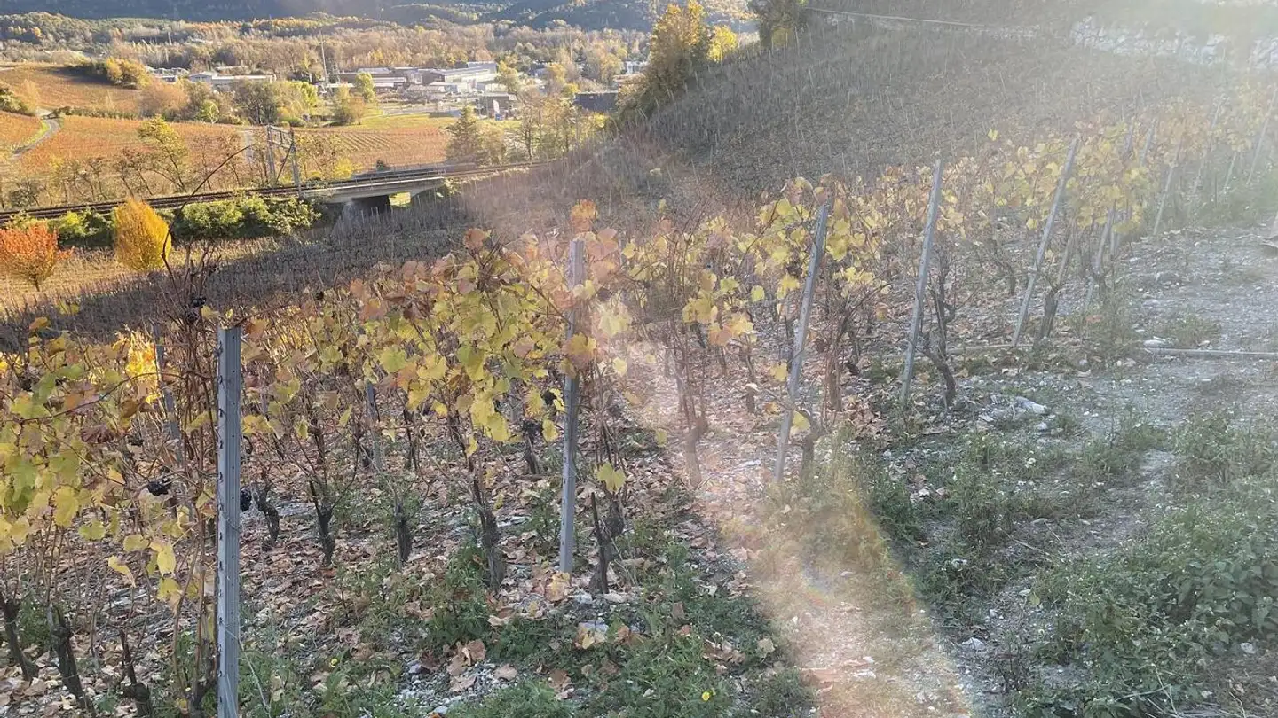 Constructible plot for sale - 3970 Salgesch - Photo 2