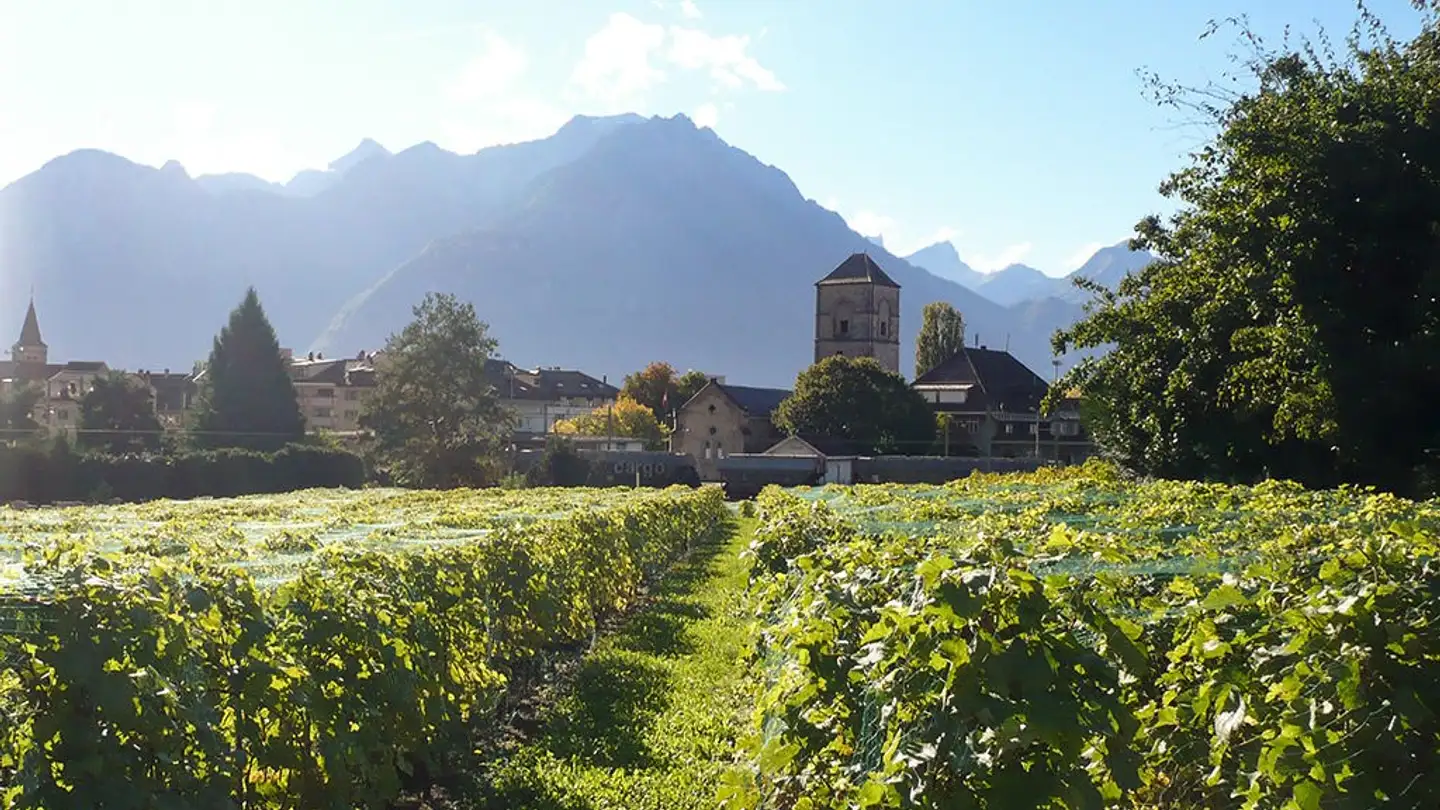 Casa singola in vendita - 1844 Villeneuve VD - Photo 2