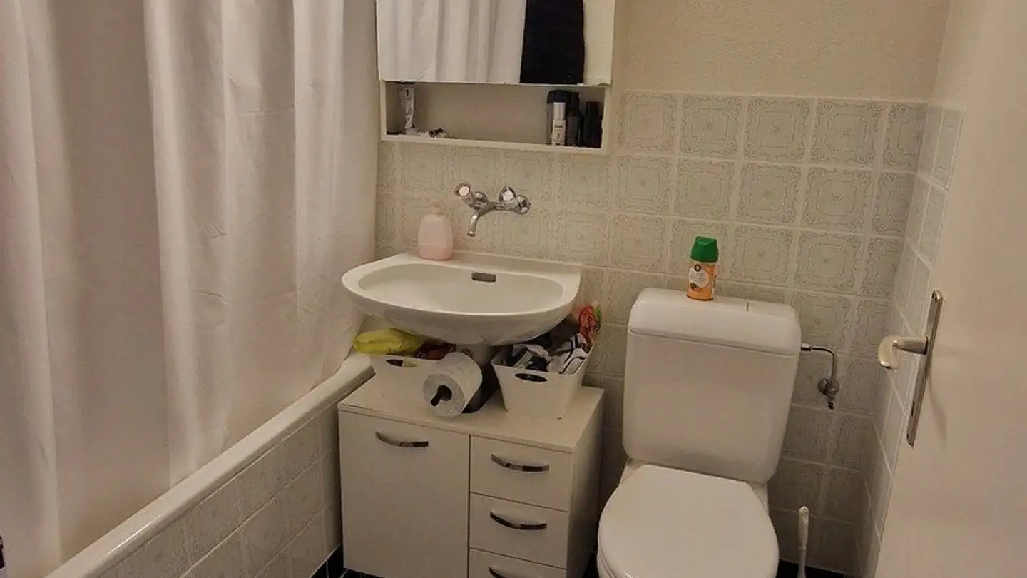 Appartement à louer - Stallikonerstrasse 66, 8903 Birmensdorf ZH - Photo 4