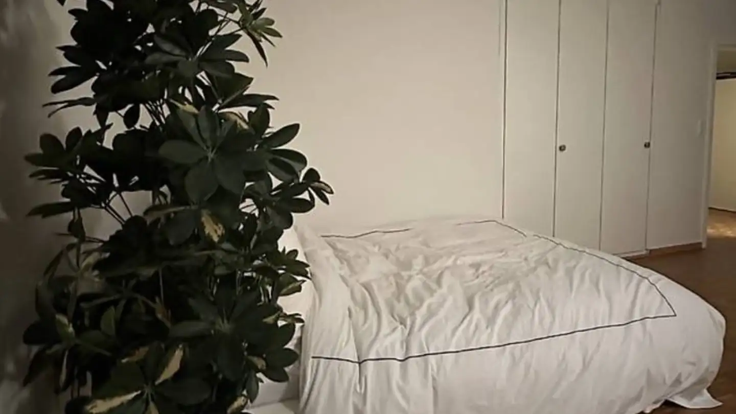 Appartement à louer - Widmerstrasse, 8038 Zürich