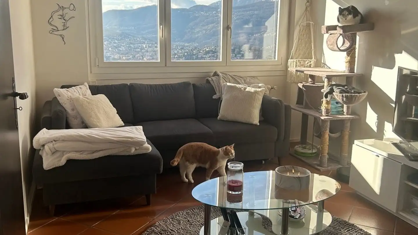 Appartement à louer - Via Del Bosco 18, 6962 Viganello