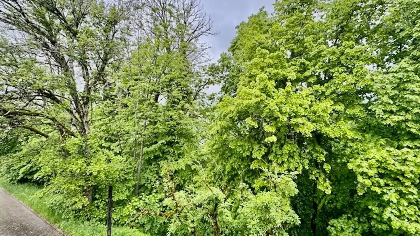 Höhlenhaus kaufen - 2416 Les Brenets - Foto 2