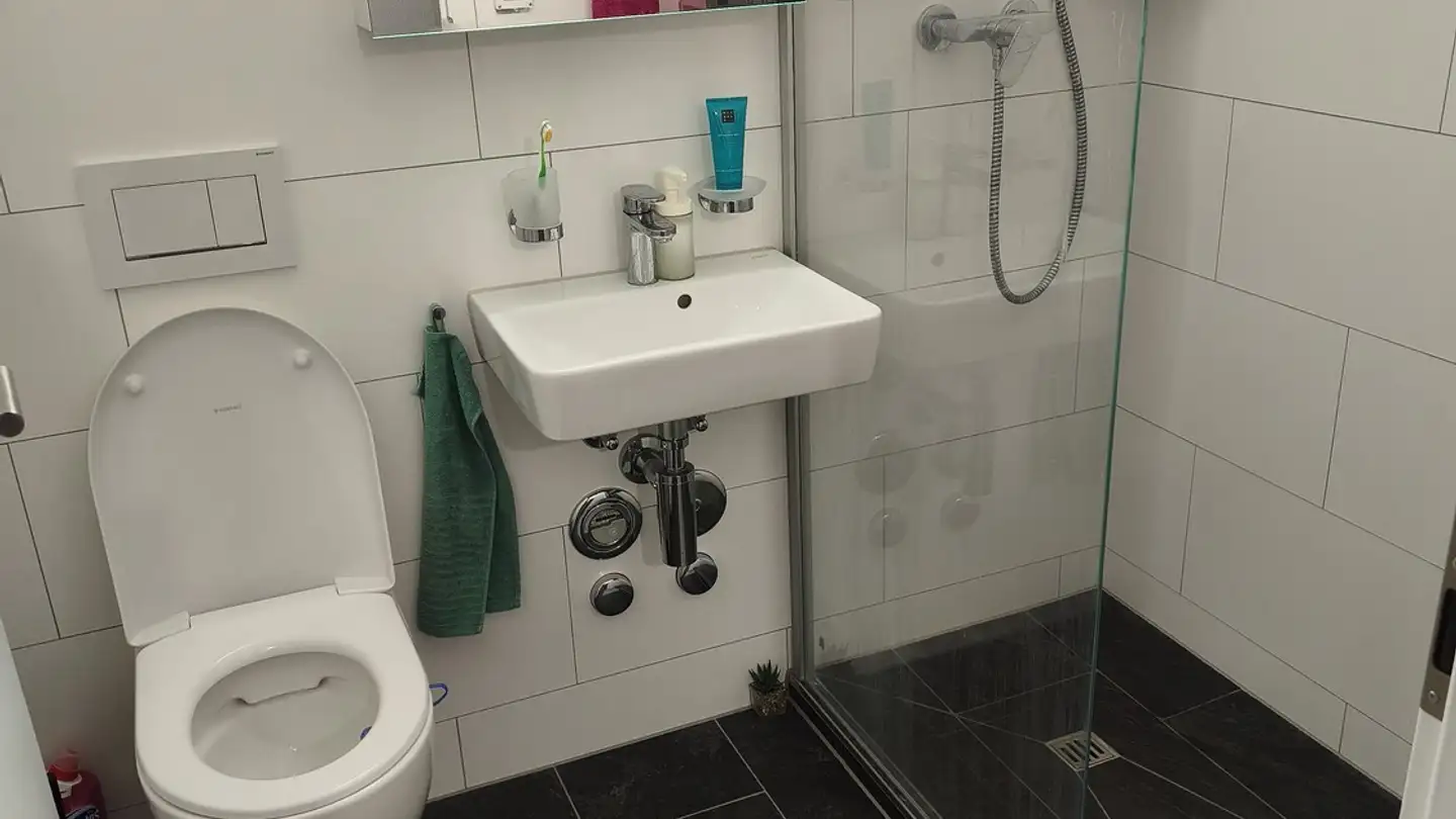 Wohnung mieten - 8957 Spreitenbach - Foto 4