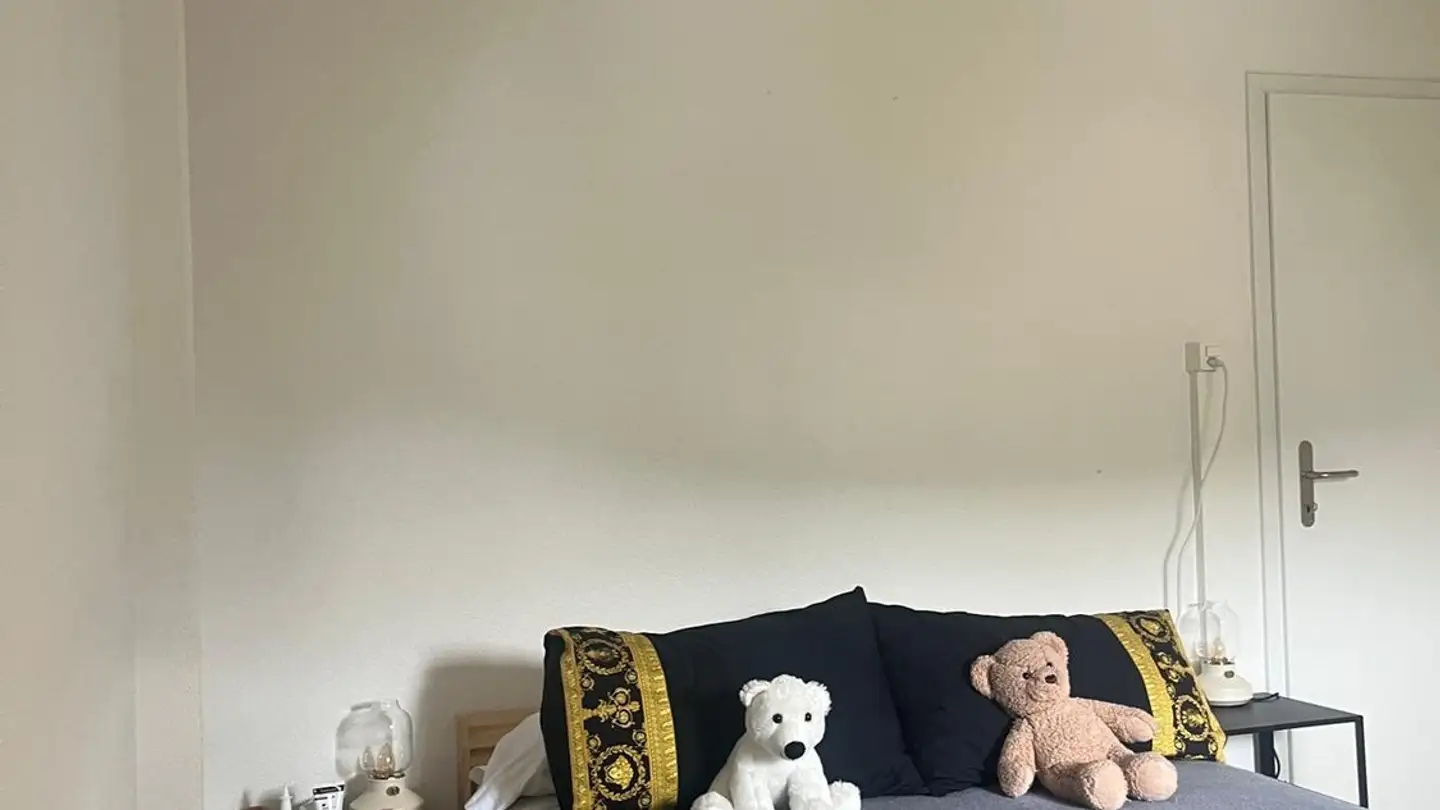 Appartamento in affitto - Rosenbergstrasse 79, 9000 St. Gallen - Foto 4