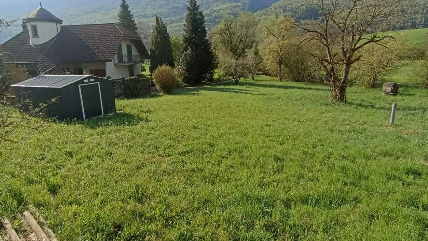 Constructible plot for sale - 4714 Aedermannsdorf