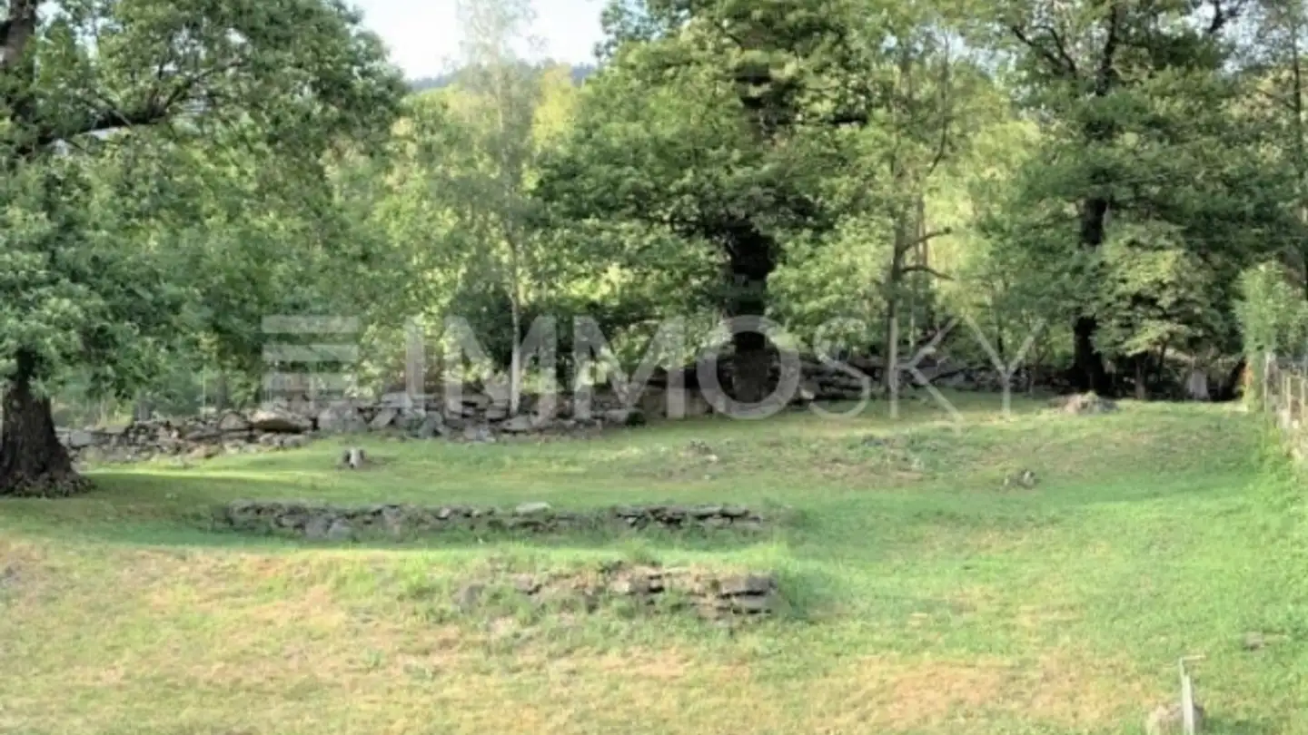 Constructible plot for sale - 6760 Faido