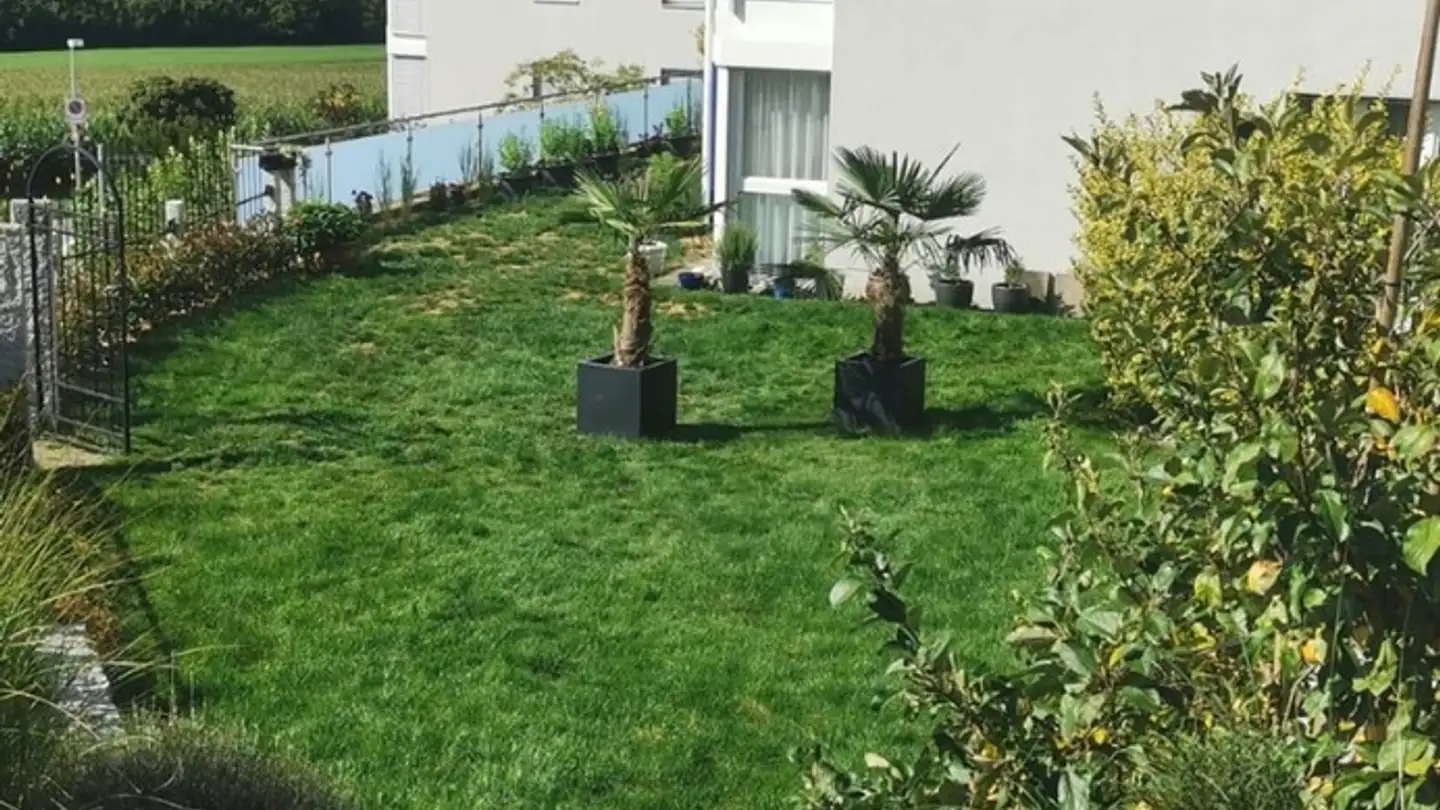 Appartamento in affitto - 3037 Herrenschwanden - Foto 3