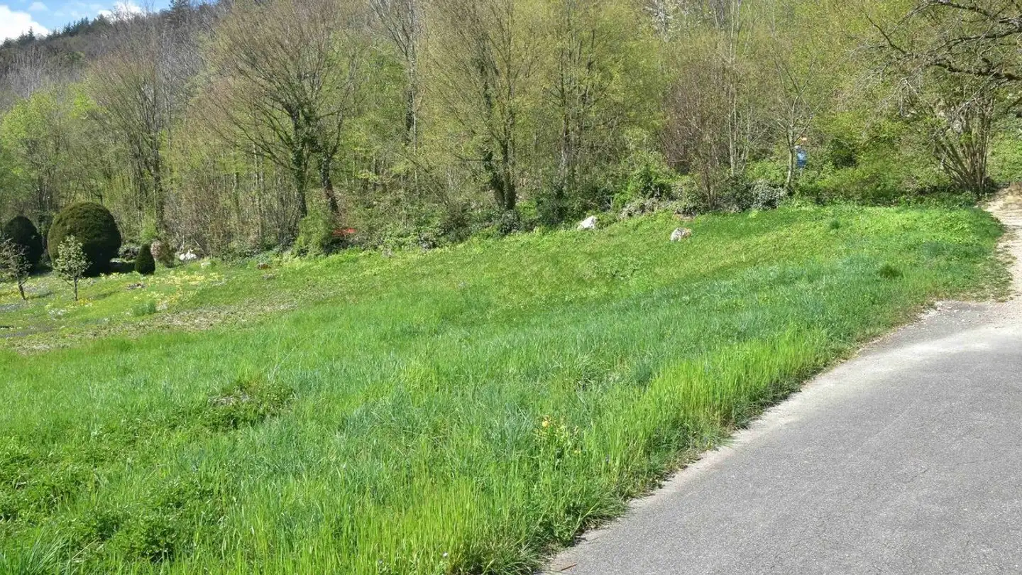 Terreno edificabile in vendita - Löschgatterweg, 2542 Pieterlen - Photo 2
