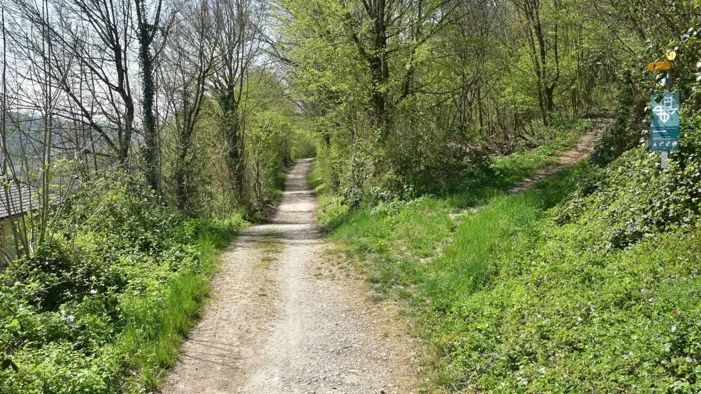 Terreno edificabile in vendita - Löschgatterweg, 2542 Pieterlen - Photo 3