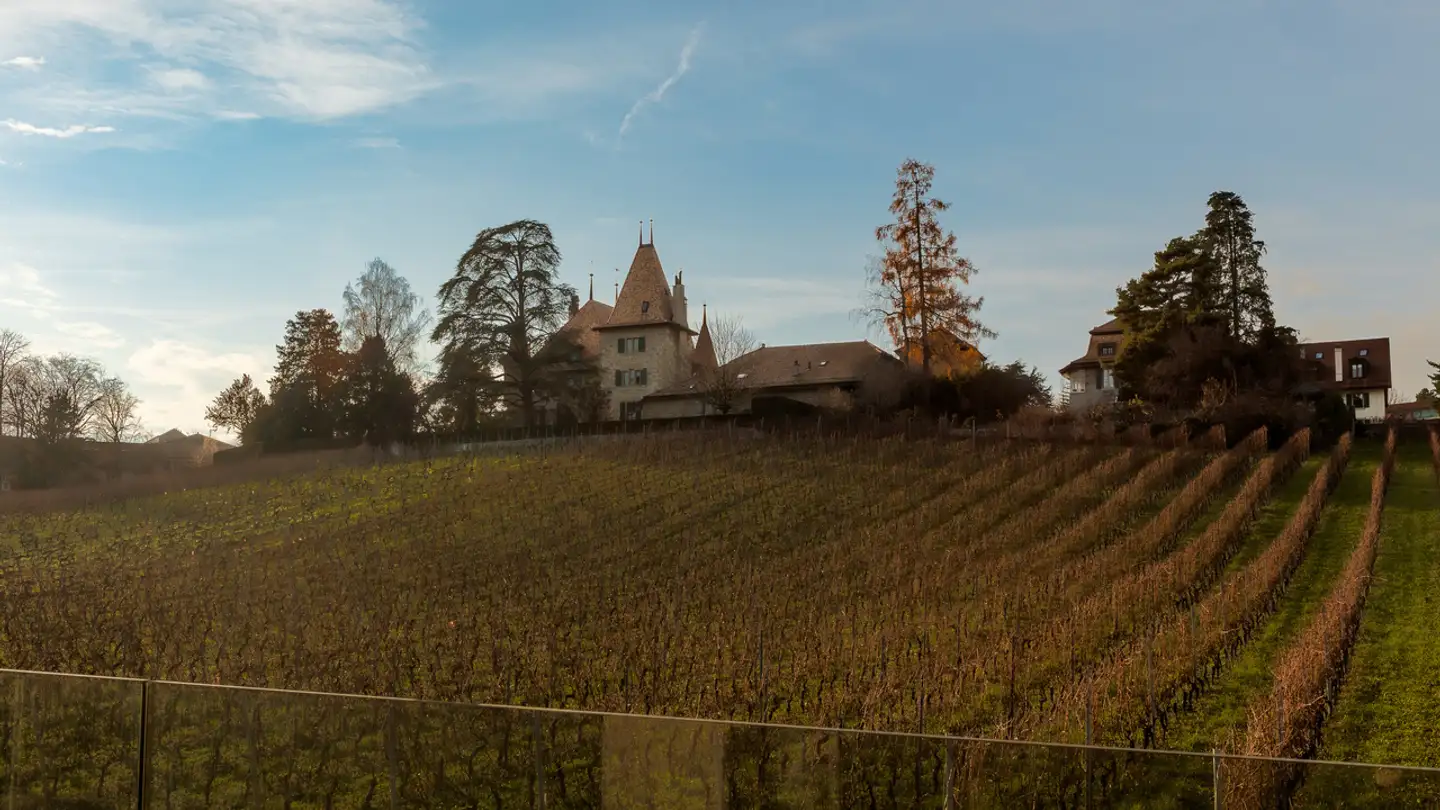 Apartment for sale - 1026 Echandens