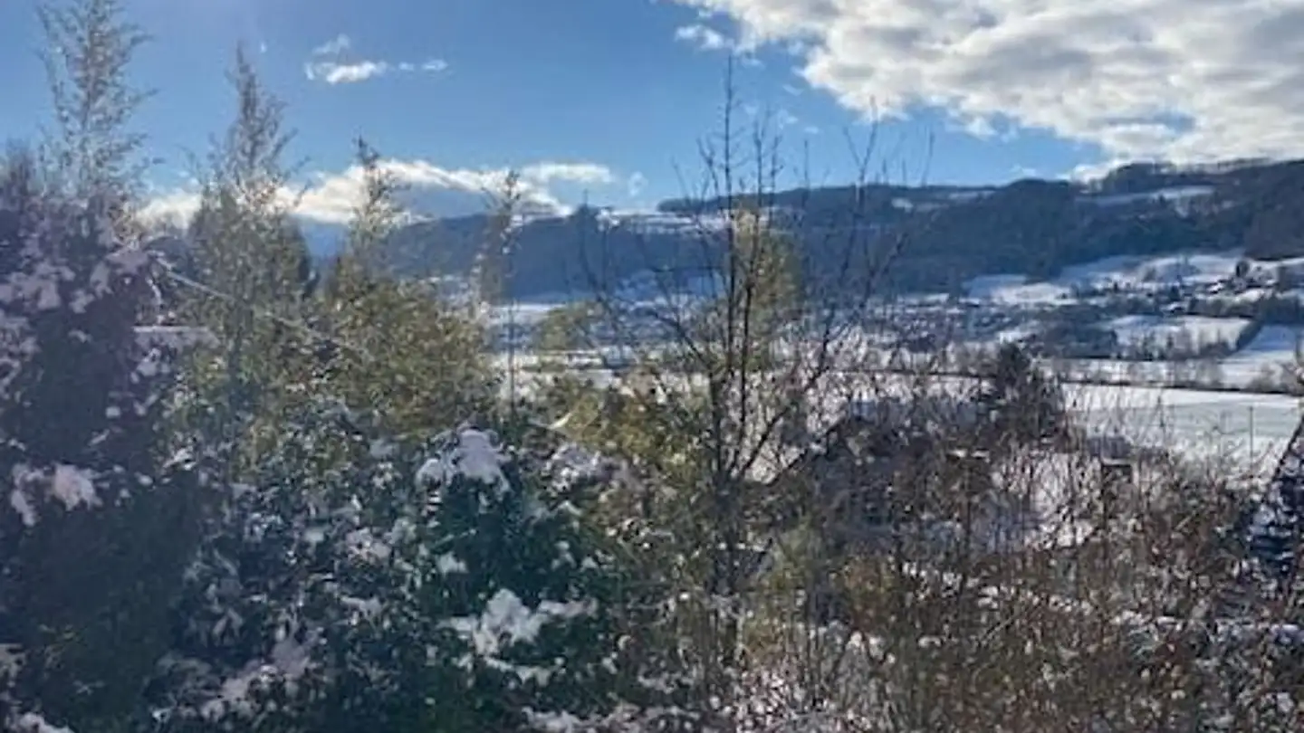 Einfamilienhaus mieten - Riedlistrasse 40, 3123 Belp - Foto 2