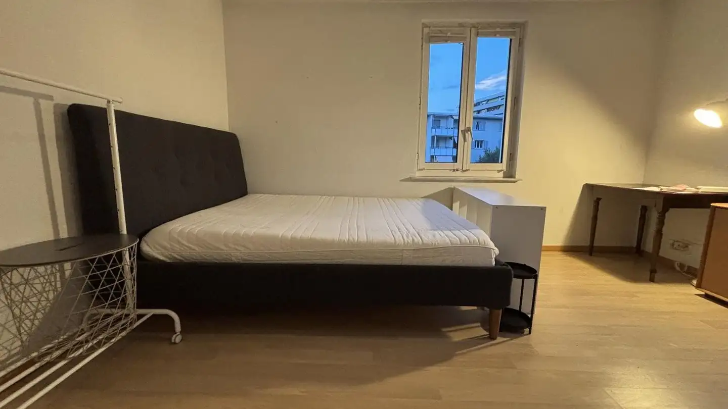 Stanza singola in affitto - 8051 Zürich