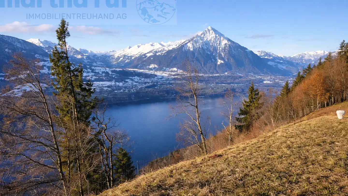 Appartement à vendre - Schmockenstrasse 231, 3803 Beatenberg