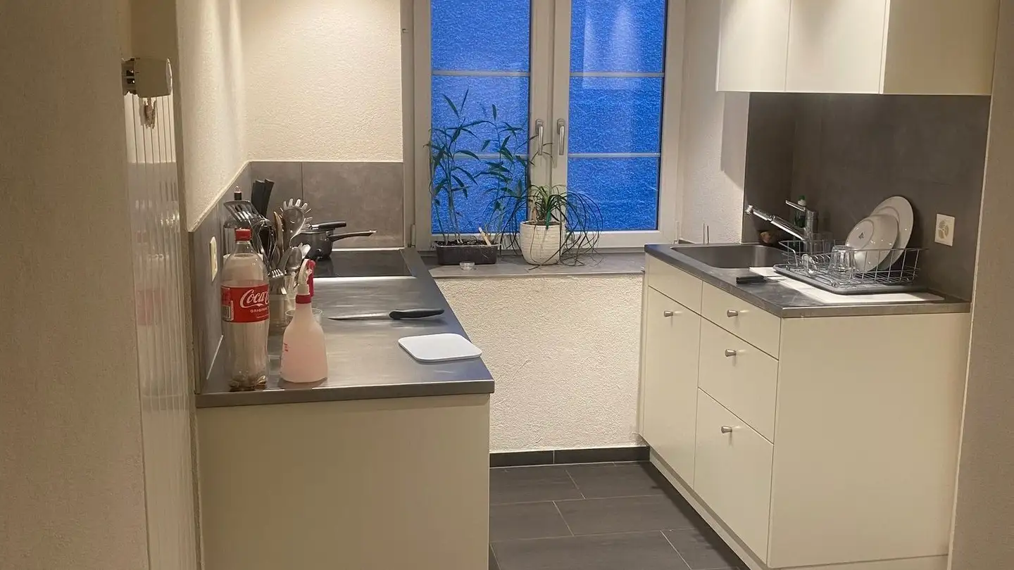 Studio in affitto - Zollhausstrasse 45, 8750 Glarus