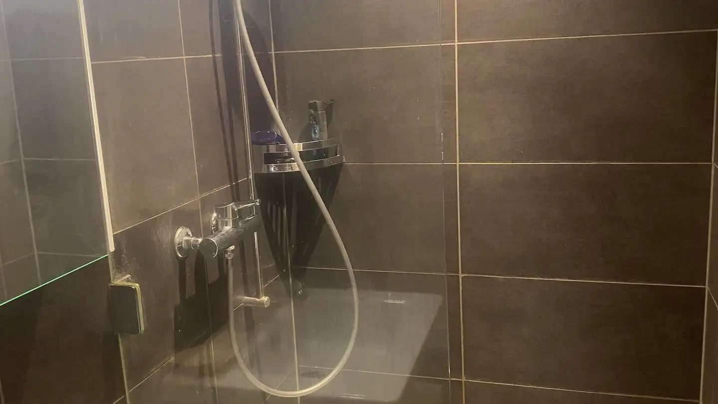 Studio in affitto - Zollhausstrasse 45, 8750 Glarus - Photo 3