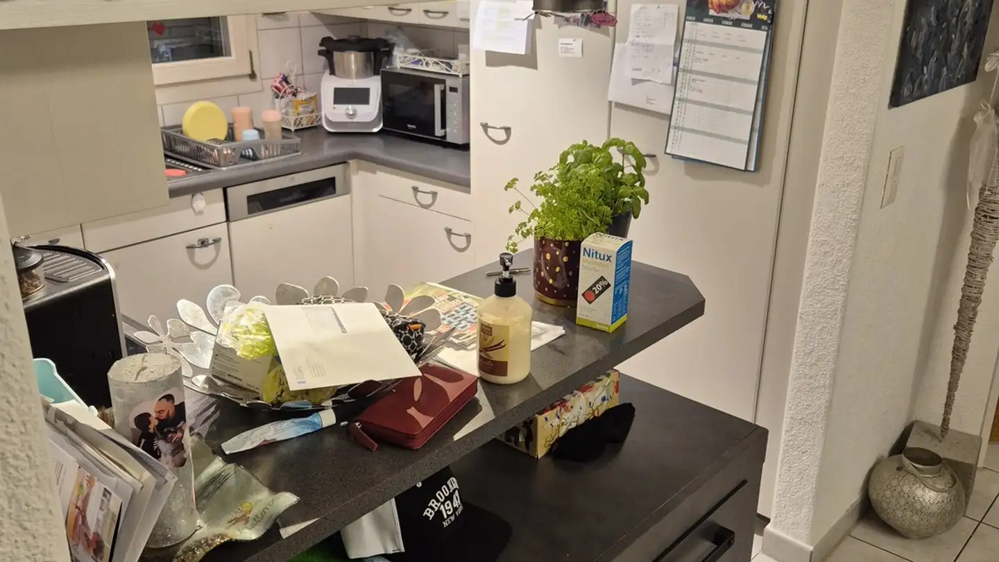 Apartment for rent - Dorf 15, 6027 Römerswil LU - Photo 4