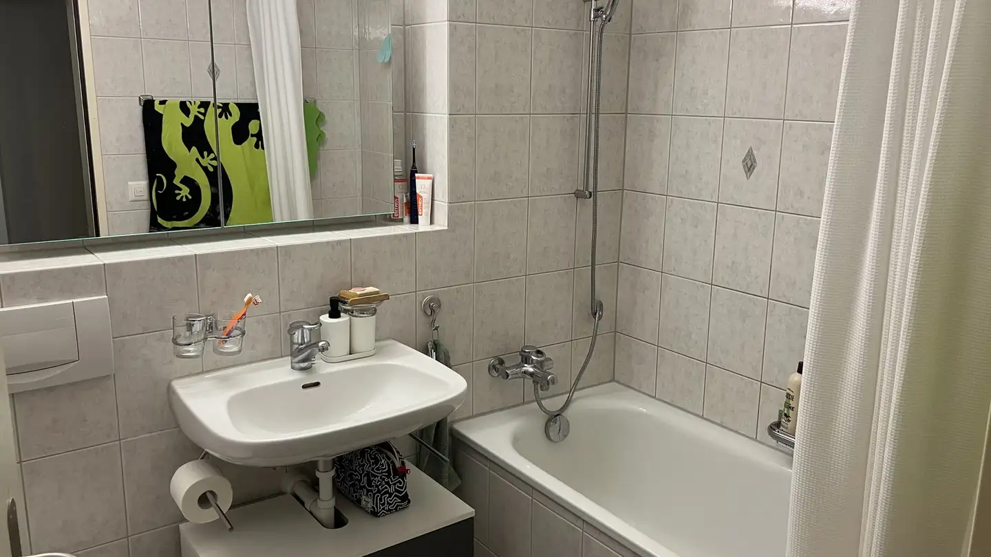 Apartment for rent - Soodstrasse 21, 8134 Adliswil - Photo 3
