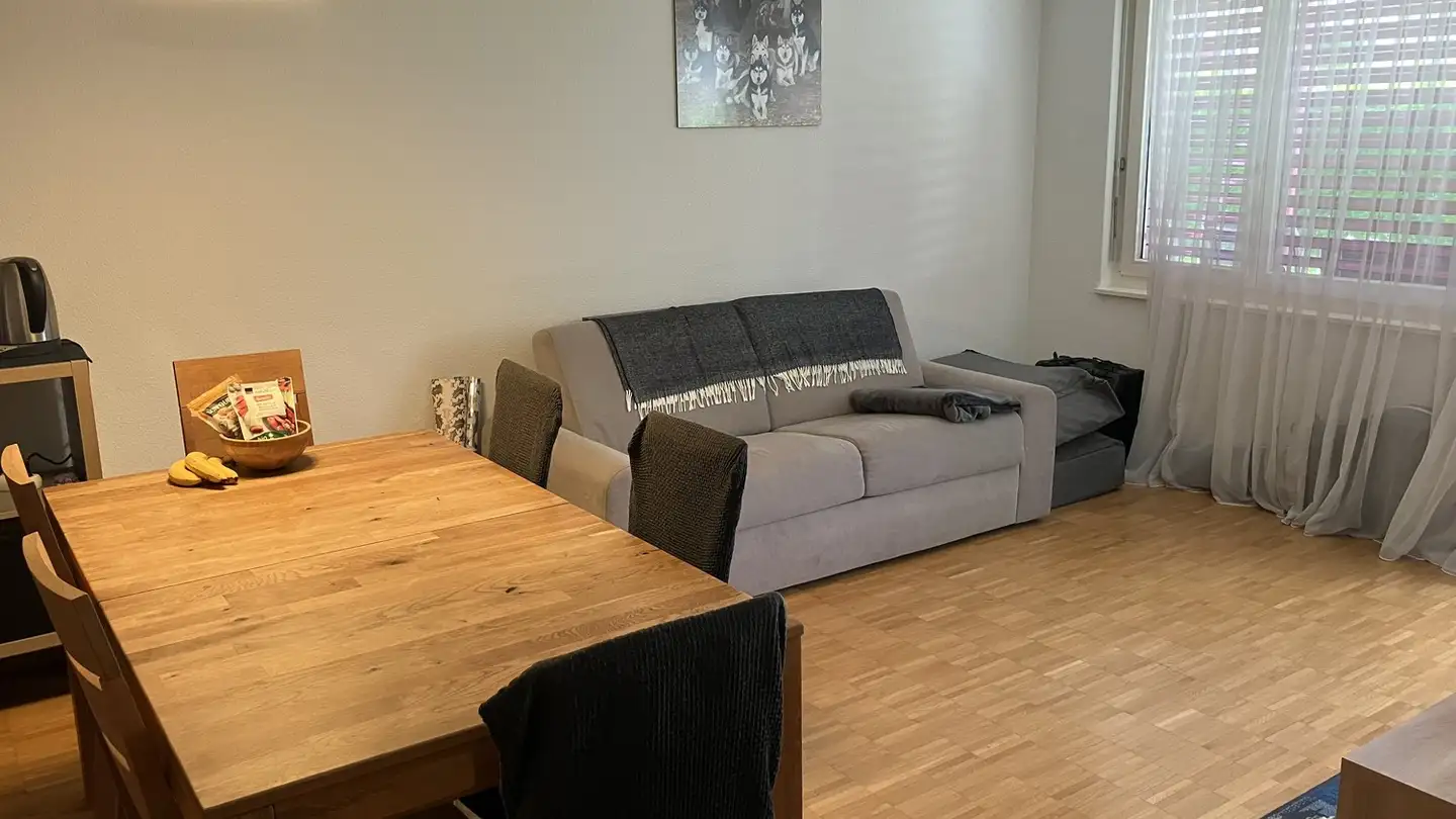Apartment for rent - Soodstrasse 21, 8134 Adliswil - Photo 4