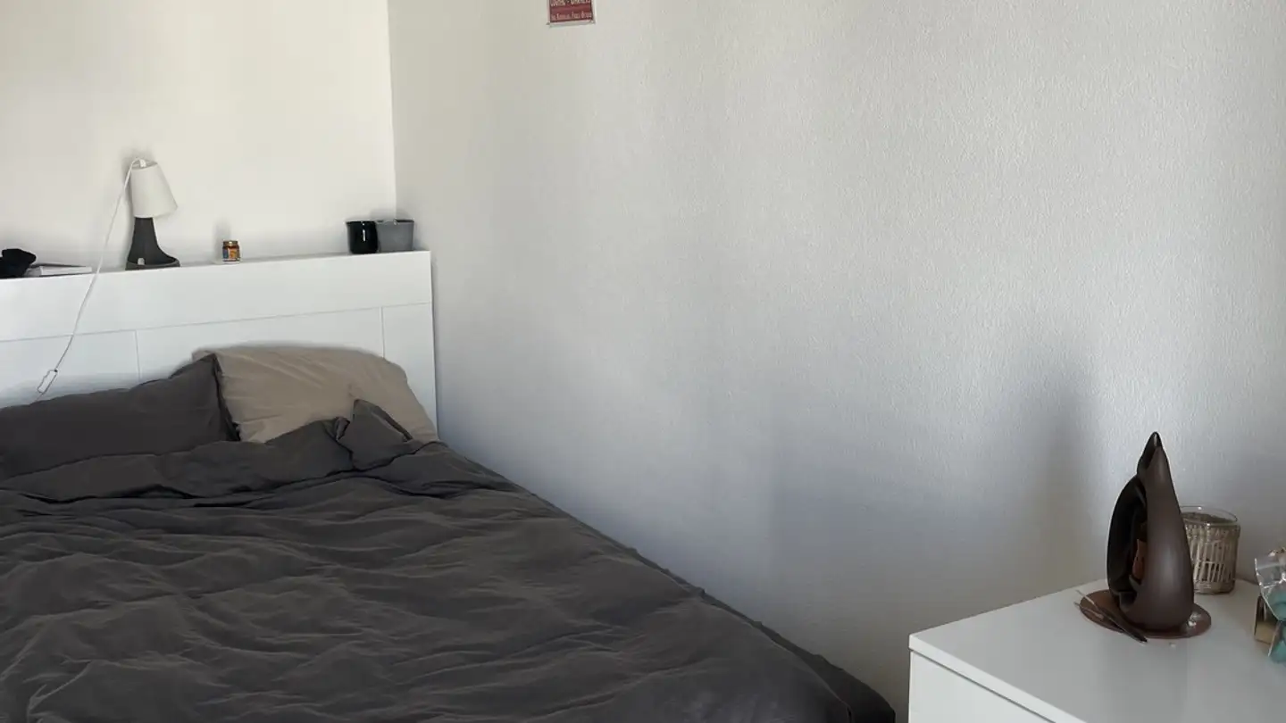 Stanza singola in affitto - 1023 Crissier - Photo 3