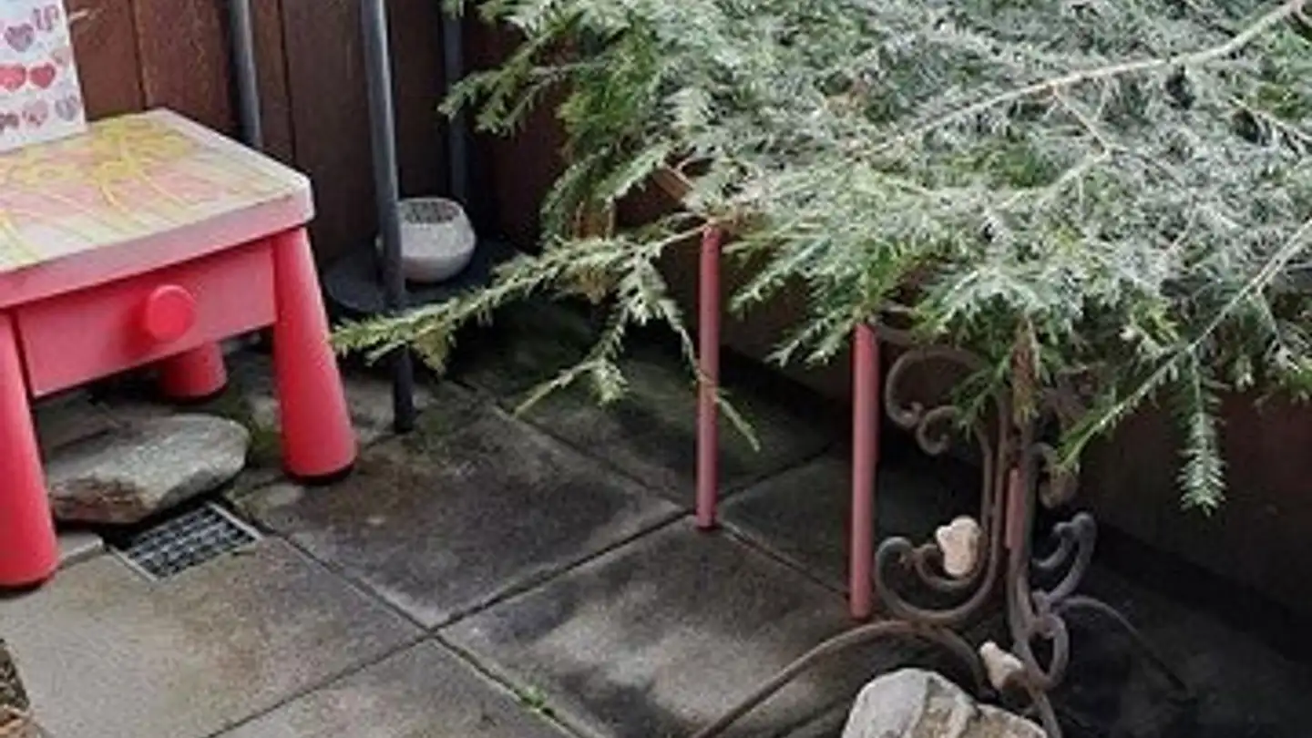 Appartamento in affitto - Hinteruttenberg 60, 8934 Knonau - Foto 4