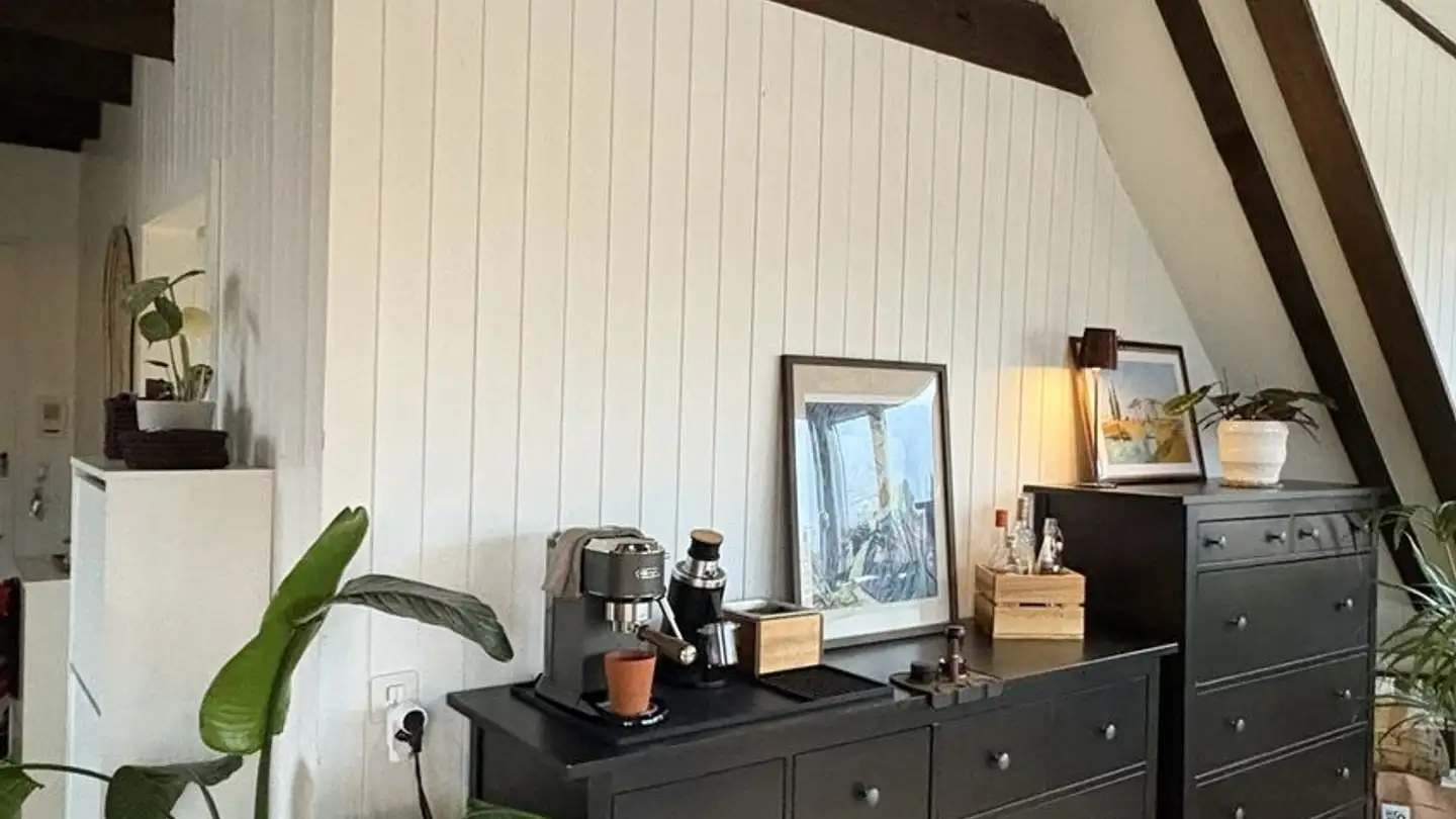 Wohnung mieten - Schrennengasse, 8003 Zürich - Foto 3