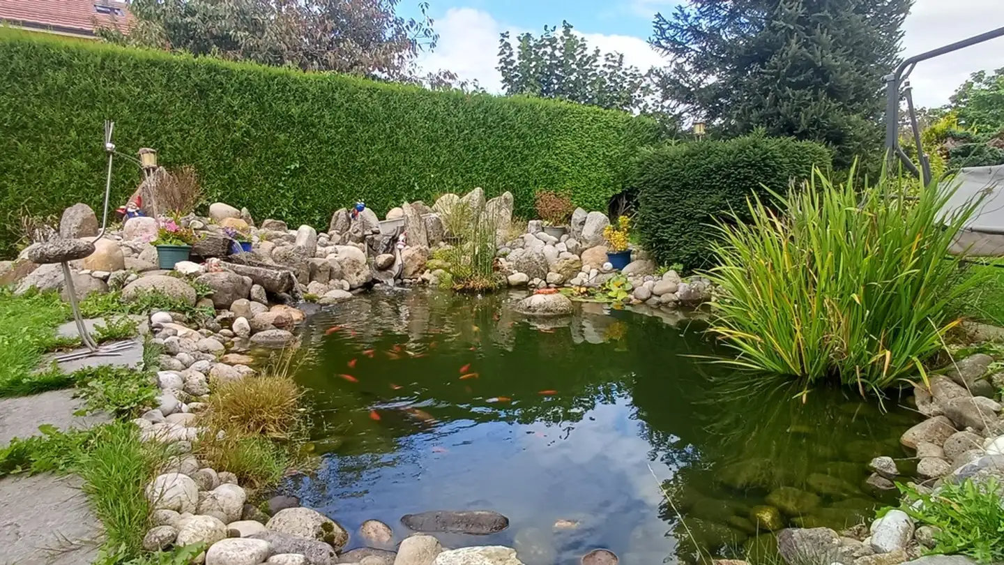 Villa in vendita - 1081 Montpreveyres - Photo 4