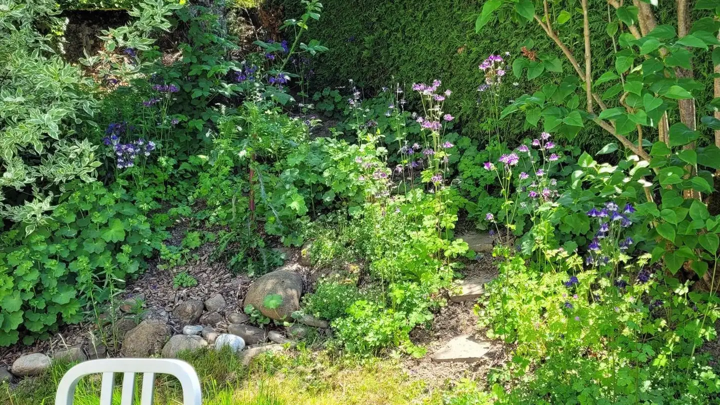 Duplex à louer - Juchrainstrasse 14, 1712 Tafers - Photo 2