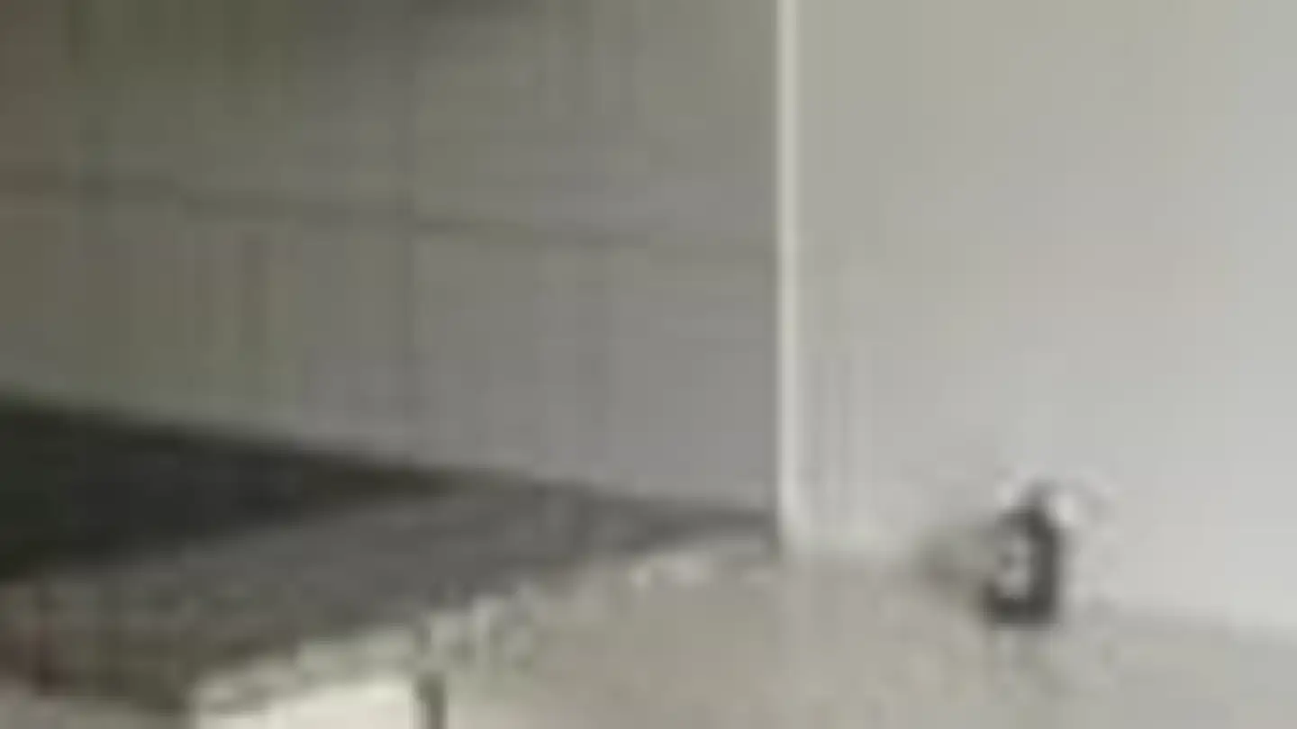 Appartamento in vendita - Kehlhofstrasse 24, 8542 Wiesendangen - Foto 3