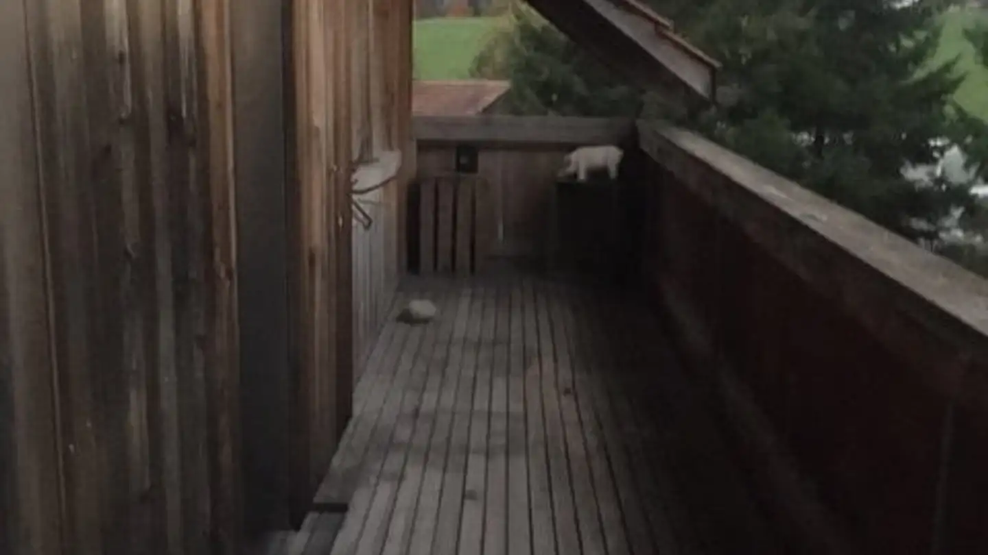 Appartamento in affitto - Winterkrautstrasse 22, 3154 Rüschegg Heubach - Photo 4