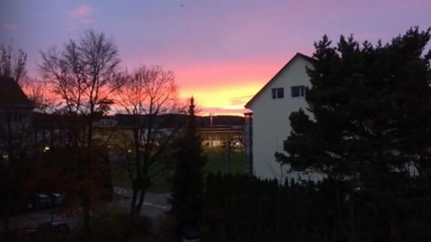 Single room for rent - 8603 Schwerzenbach - Photo 2