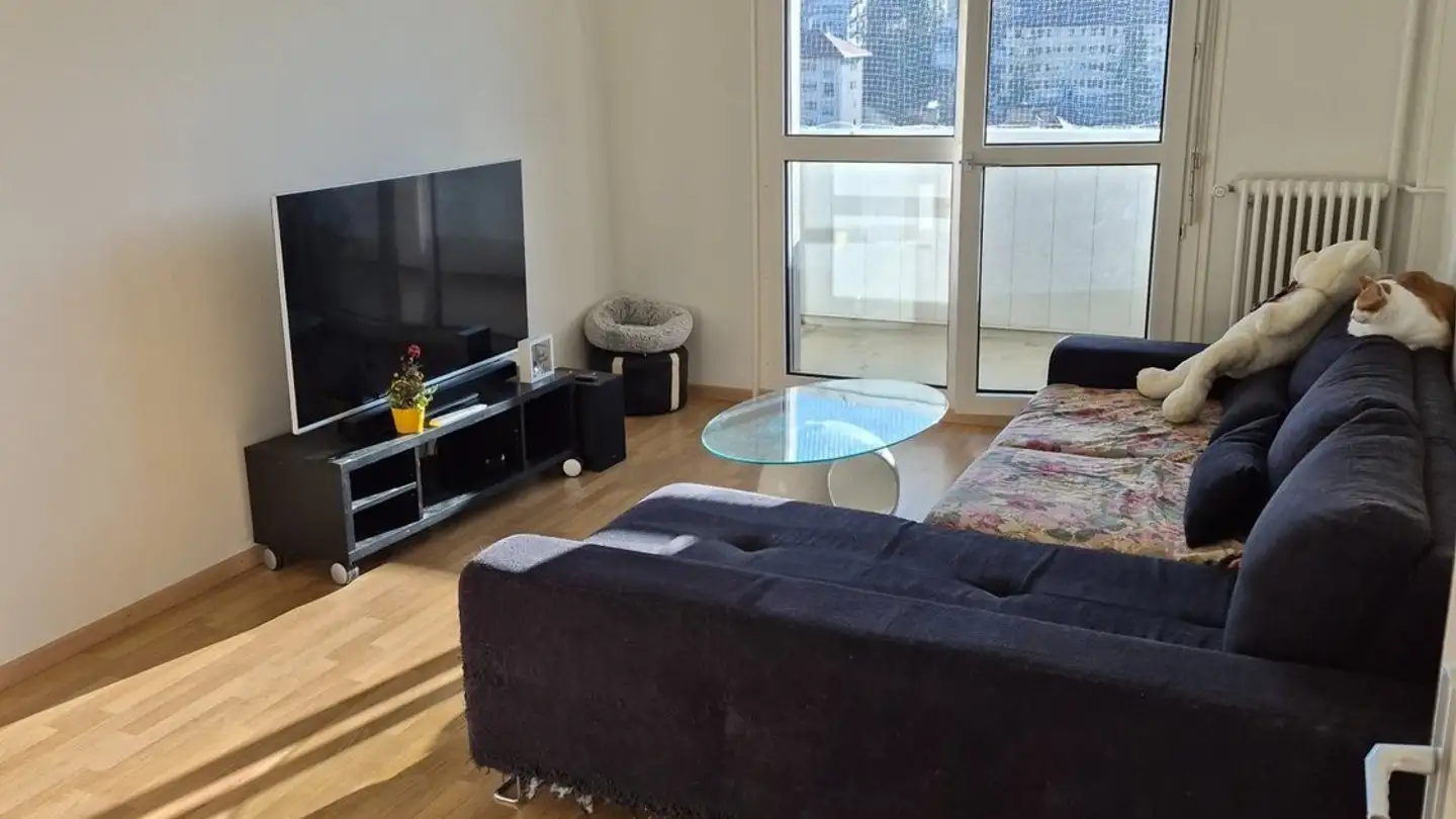 Appartamento in affitto - Rue Des Musées 58, 2300 La Chaux-de-Fonds