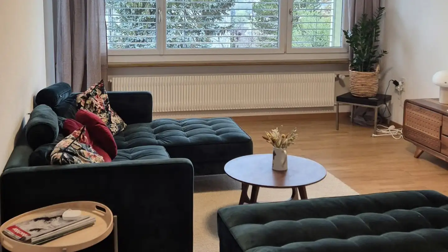 Appartement à louer - Gartenstrasse 45, 8102 Oberengstringen