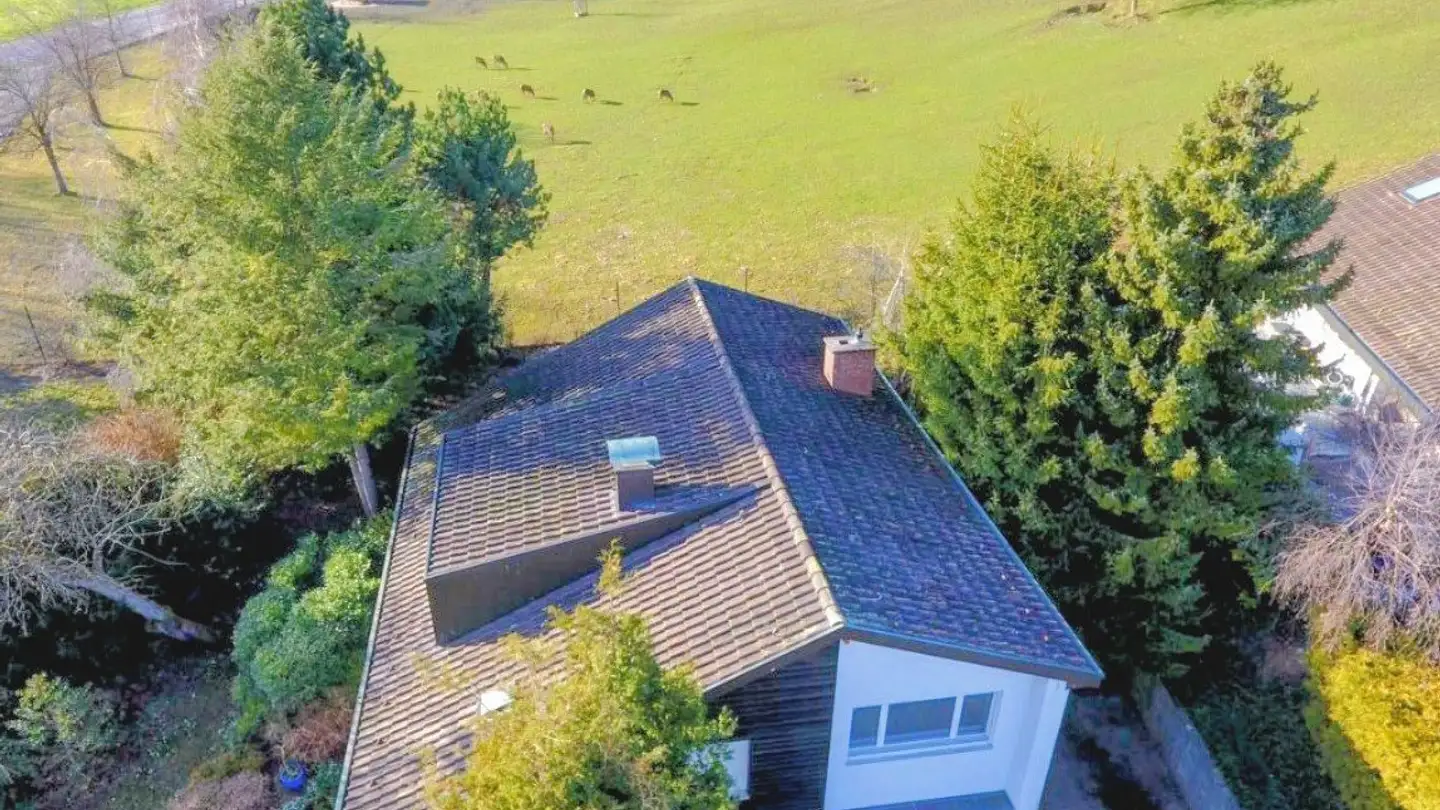 Single house for rent - Hirschweg 3, 8135 Langnau am Albis - Photo 3