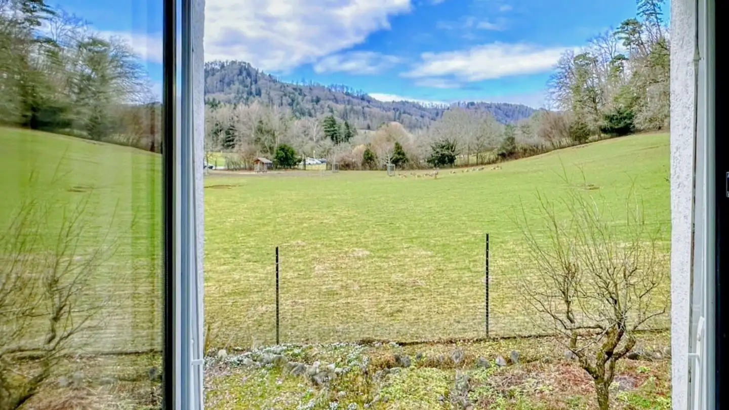 Single house for rent - Hirschweg 3, 8135 Langnau am Albis - Photo 4