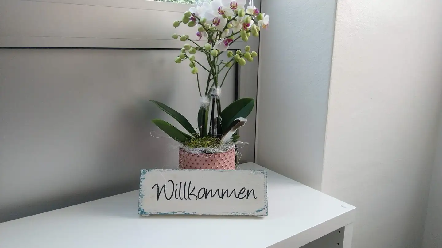 Gewerbe mieten - Münsterstrasse 1, 6210 Sursee - Foto 3
