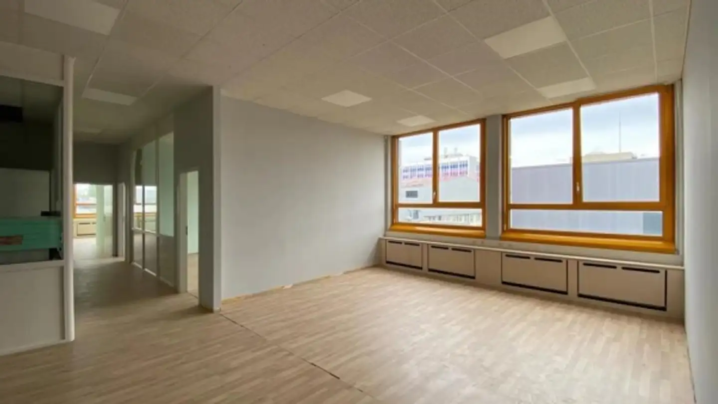 Office space for rent - Rue Baylon, 1227 Carouge GE - Photo 2