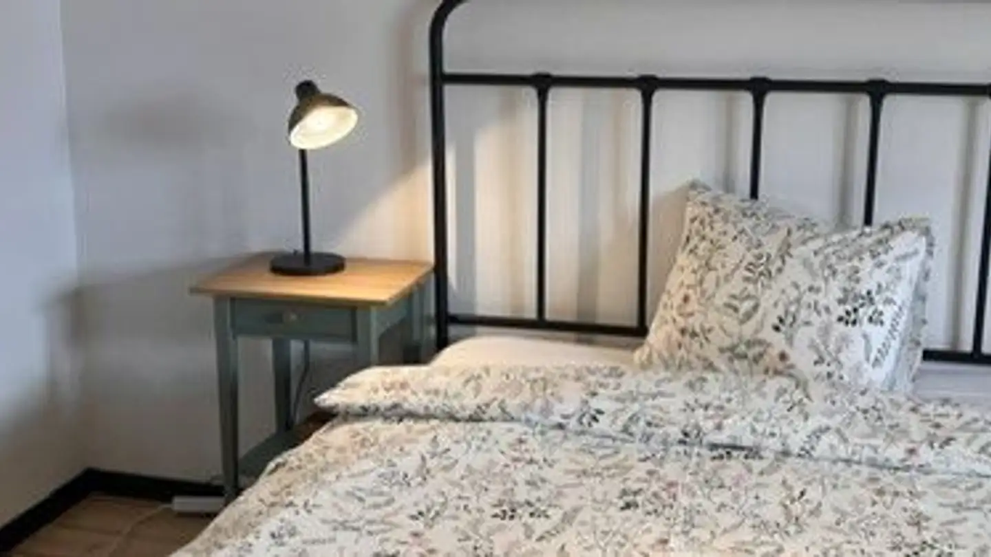 Single room for rent - 8934 Knonau - Photo 4