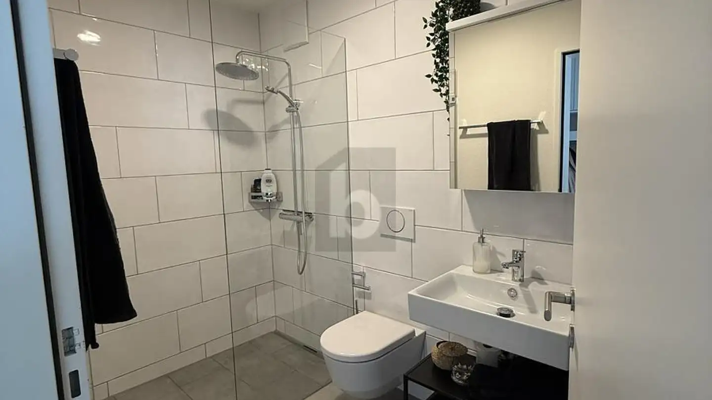 Apartment for rent - 8932 Mettmenstetten - Photo 4