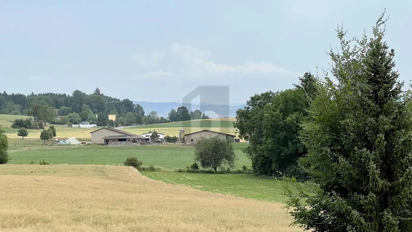 Apartment for rent - 8932 Mettmenstetten