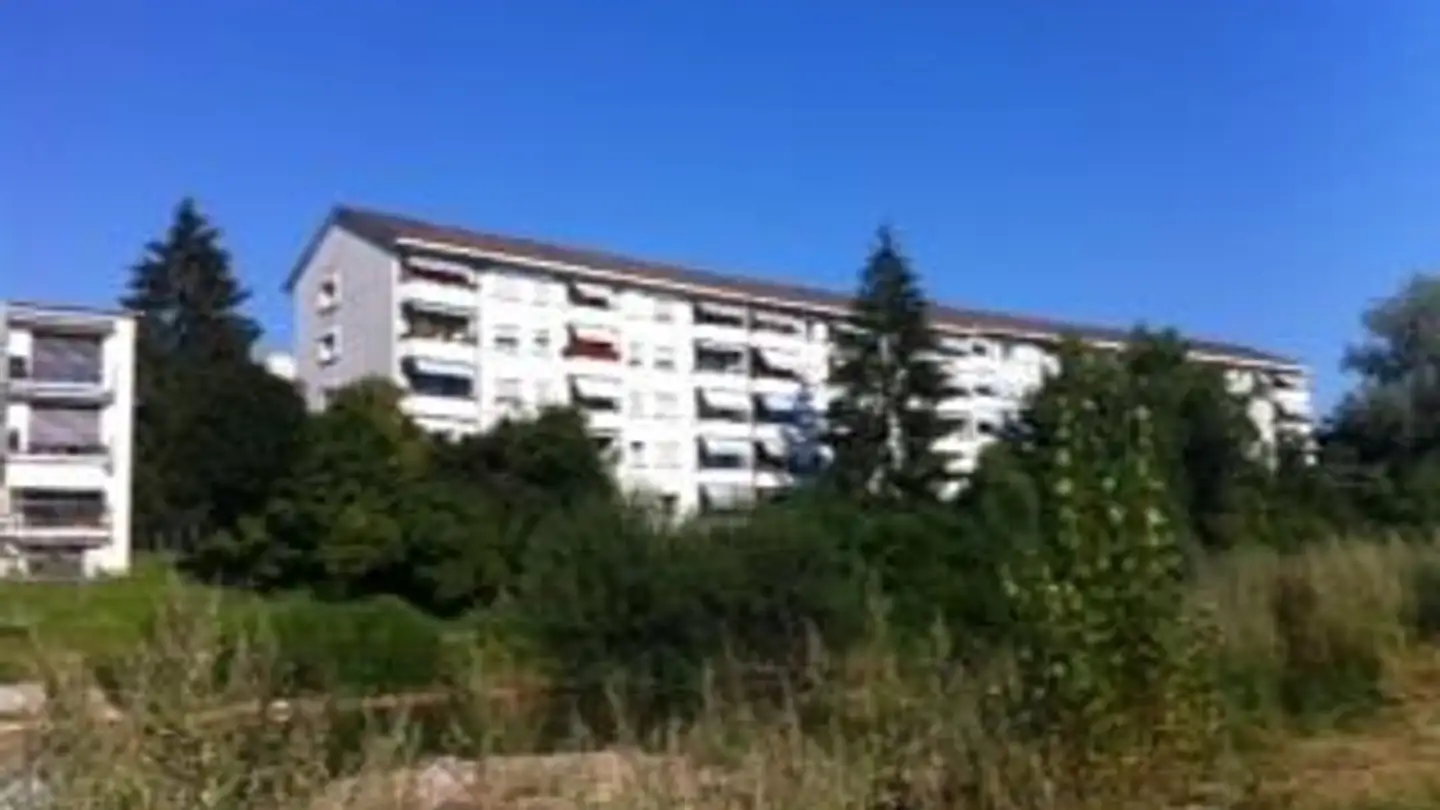 Wohnung mieten - Birseckstrasse 2, 4127 Birsfelden - Foto 2