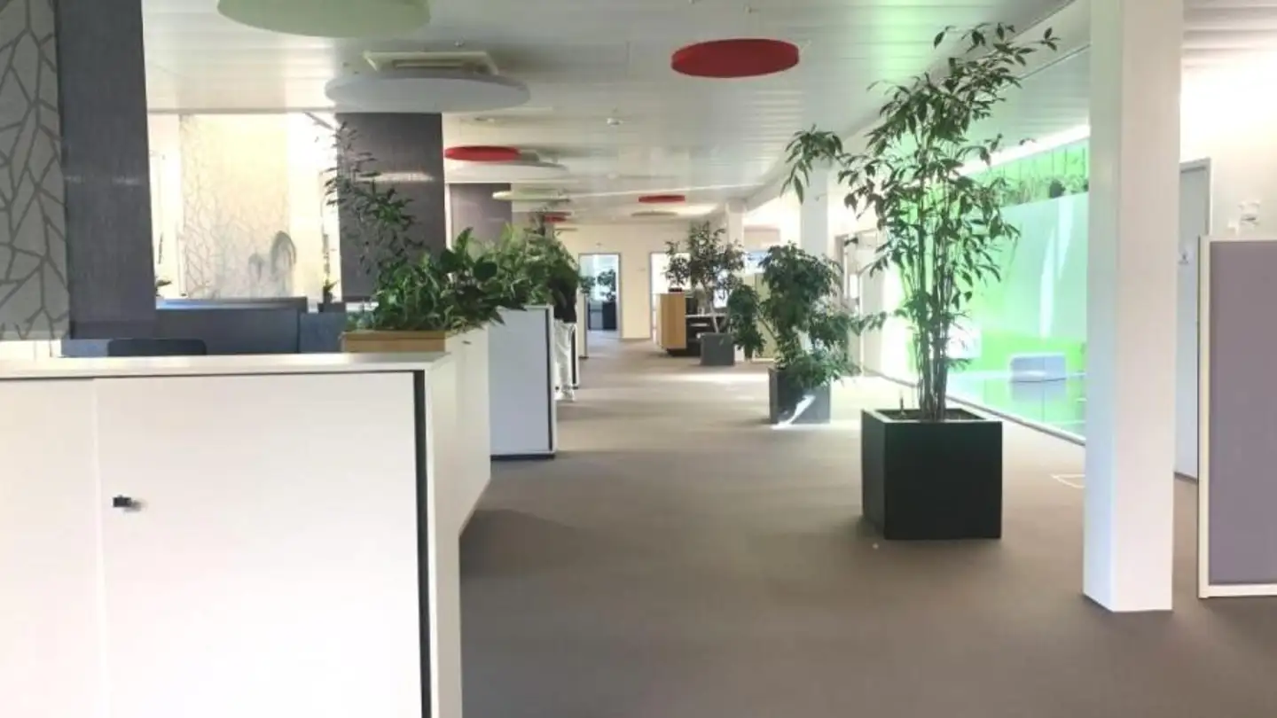 Bürofläche mieten - Route Sous-Riette, 1023 Crissier