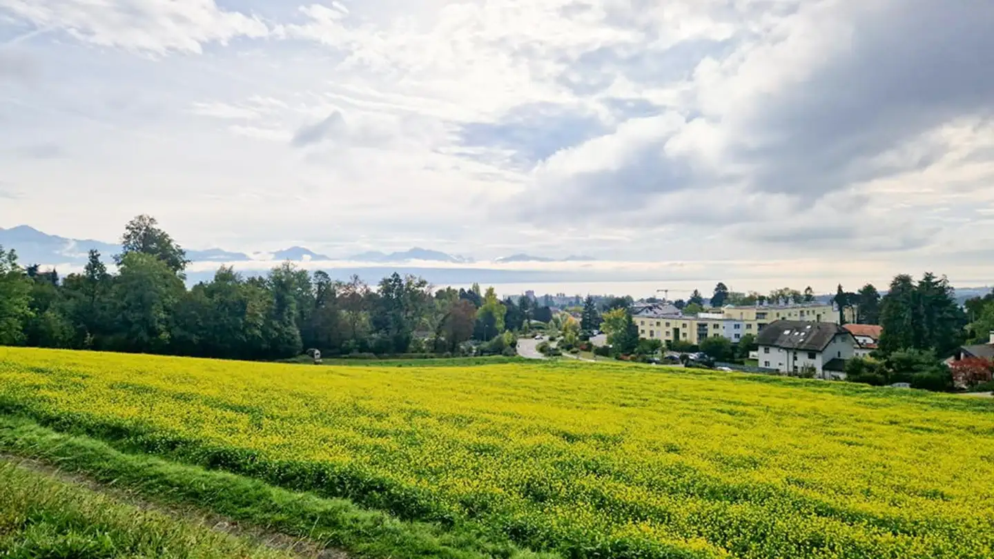 Villa in vendita - 1008 Prilly - Photo 2