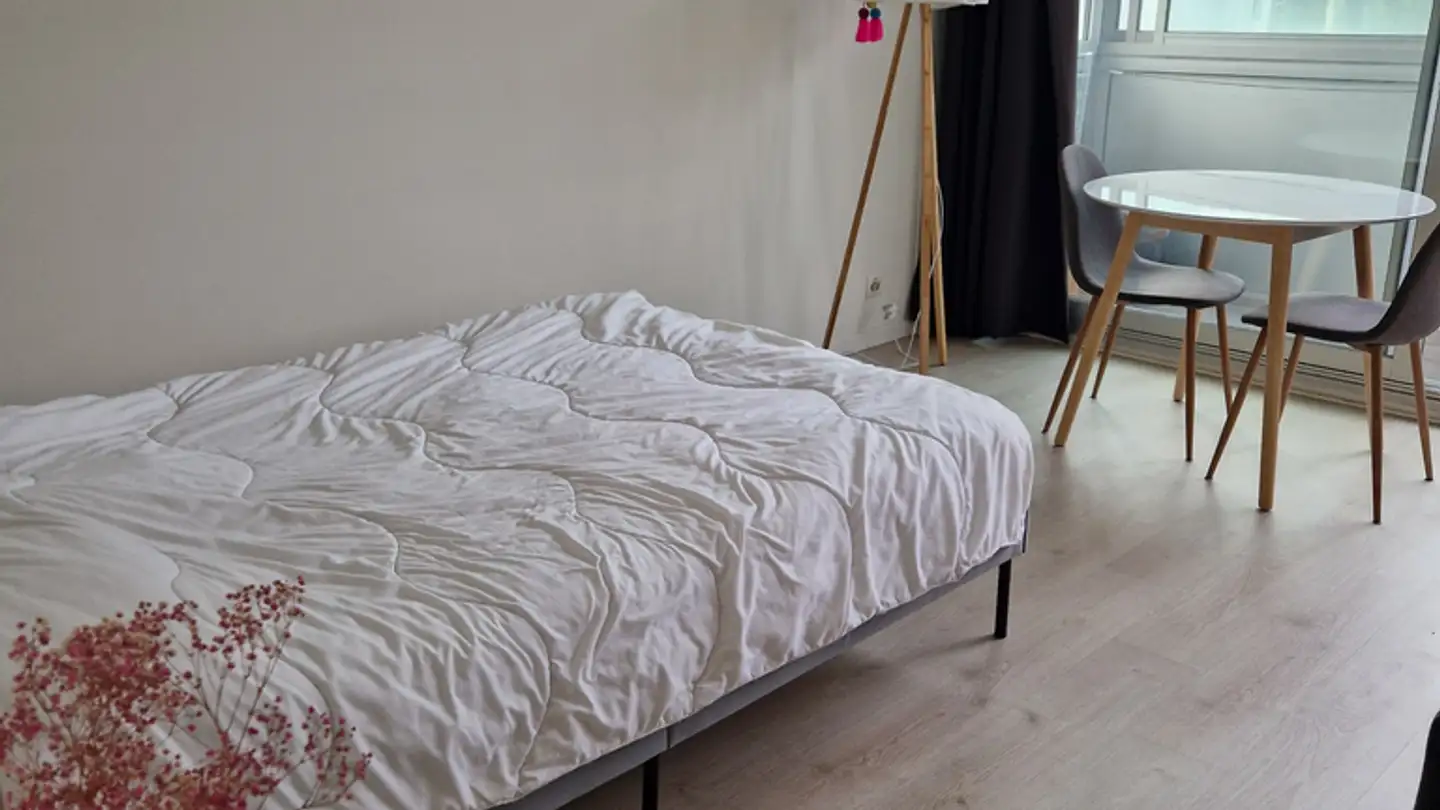 Appartamento in affitto - Route De Florissant 86, 1206 Genève