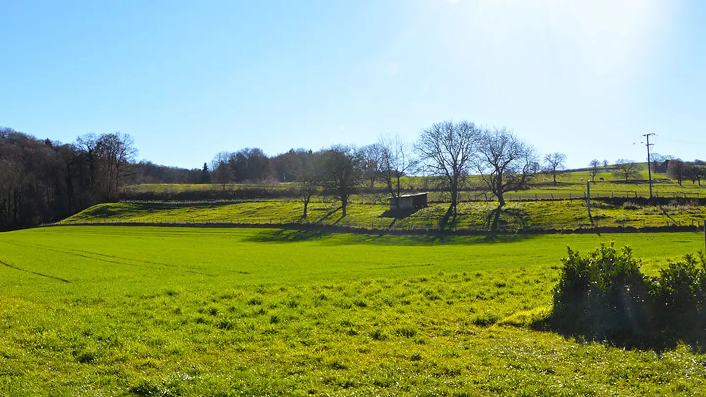 Bauernhof kaufen - 1682 Dompierre VD - Foto 3