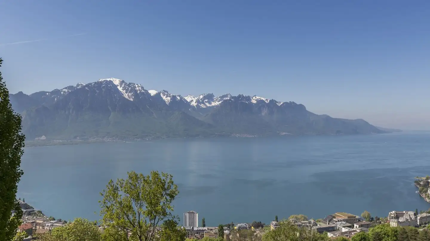 Single house for sale - 1822 Chernex - Photo 2