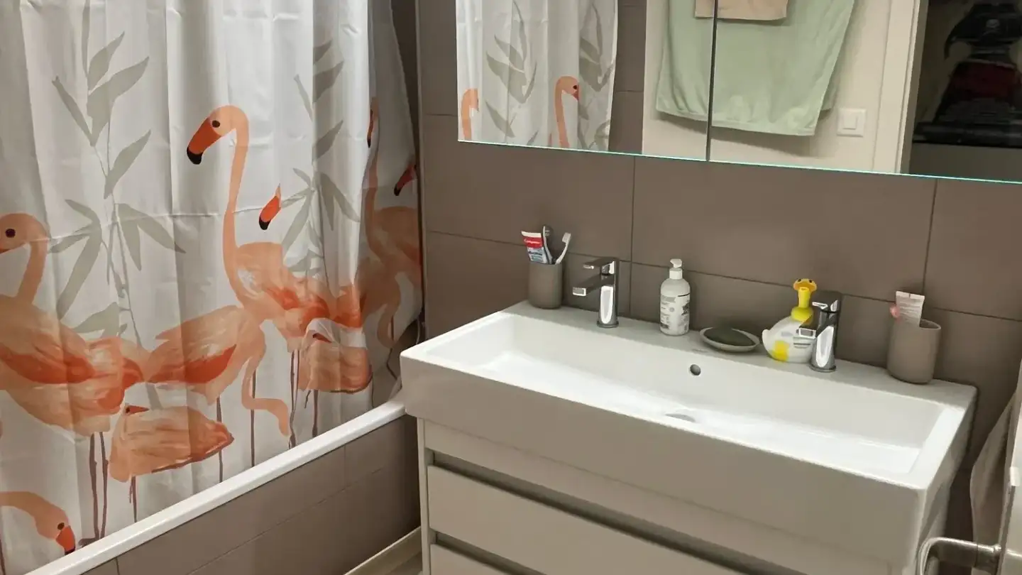Apartment for rent - Rheinfelderstrasse 19, 4127 Birsfelden - Photo 4