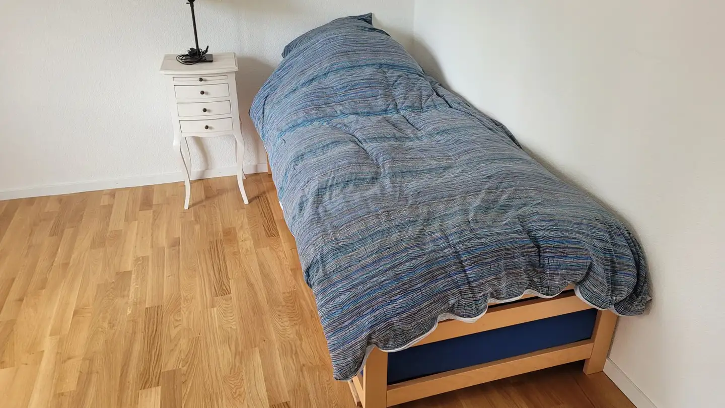 Single room for rent - Chemin De Perrelet 14, 1020 Renens VD