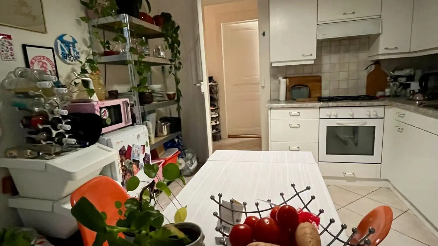 Chambre à louer - Rue Du Maupas 13, 1004 Lausanne - Photo 3